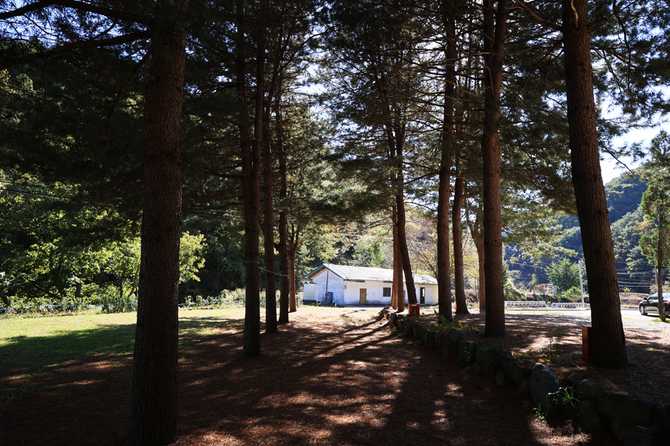 Discover the Best Camping Experience - image 4