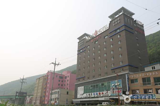 Star Hotel near Gangwon Land - image 4