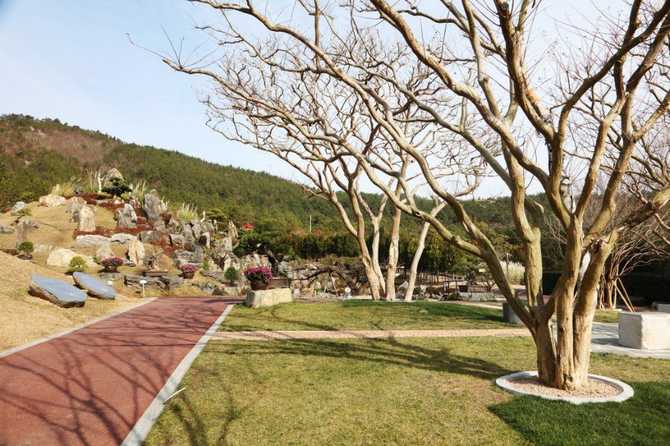 Discover 1004 Islands Bonsai Garden - image 11