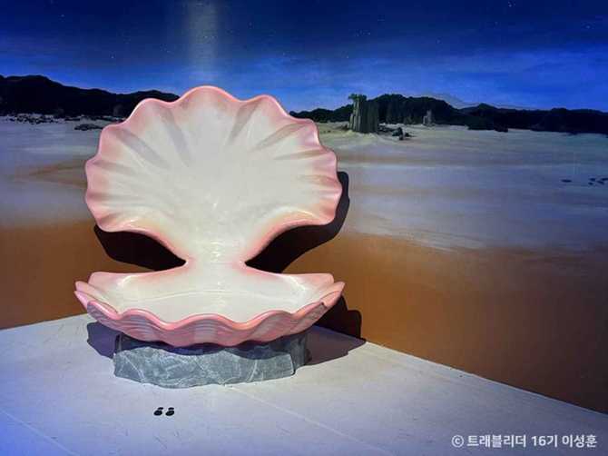 Discover the Marine Theme Experience - image 6