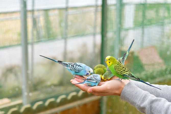 Experience Nature and Animal Encounters - image 8