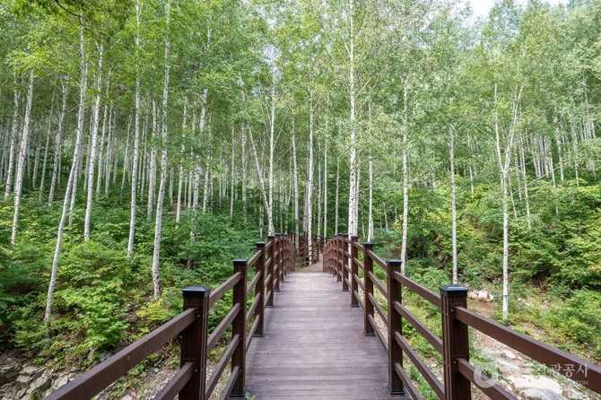 Discover the Beauty of Yeongyang - image 16