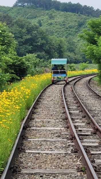 Asan Rail Bike Experience - image 6