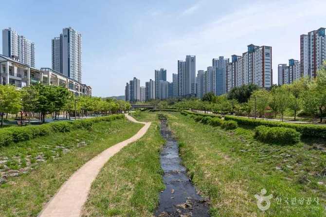 동탄치동천체육공원: 자연과 함께하는 가족 친화형 공원 안내 6