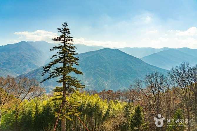 경상남도 함양 금대암, 역사와 문화유산이 살아있는 사찰 안내 6