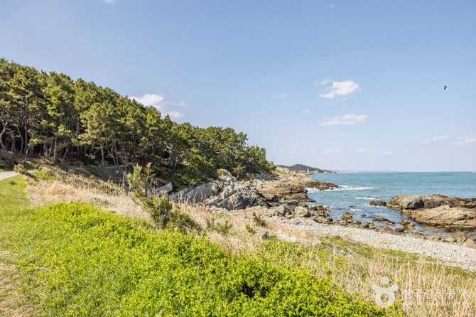Explore Busan Osiria Coastal Walkway - image 16