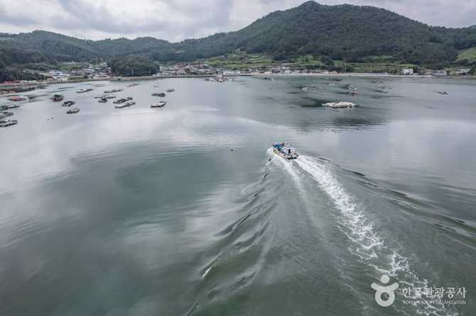 Discover Jangpo Port in South - image 5