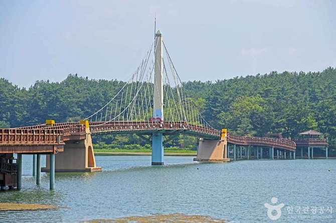 Discover Eunpyeong Water Light Bridge - image 12