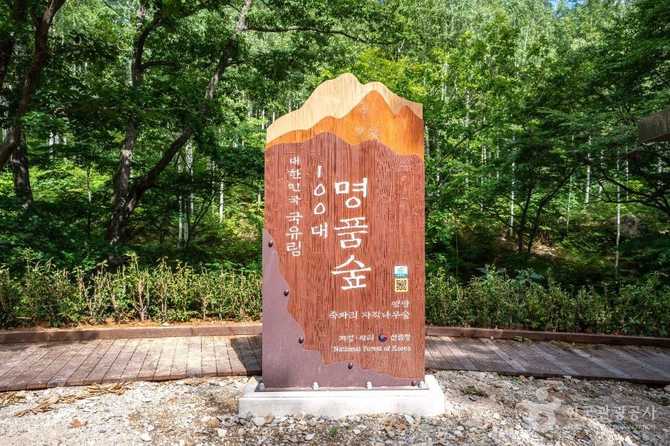 Discover the Beauty of Yeongyang - image 15