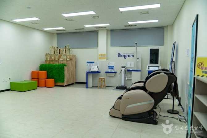 증평인삼문화센터: 인삼의 역사와 체험을 한 곳에서 즐기기 7