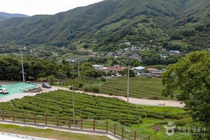 하동 숲속 카페, 자연과 함께하는 힐링 공간 소개 7