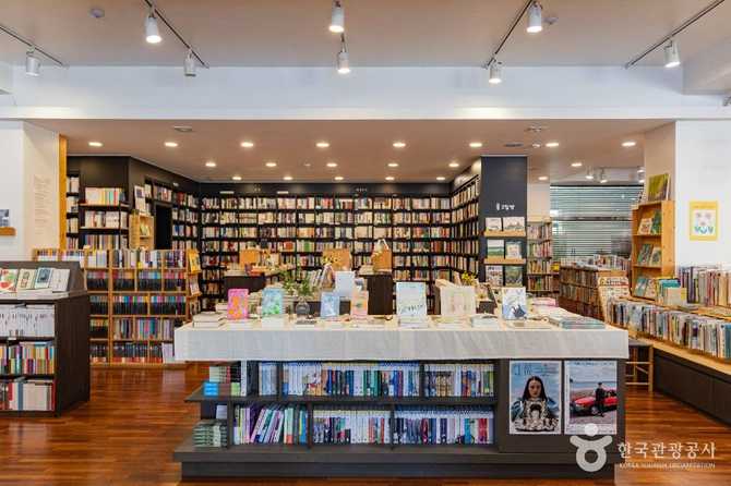 속초 동아서점: 65년 전통의 오래된 서점과 방문 팁 7
