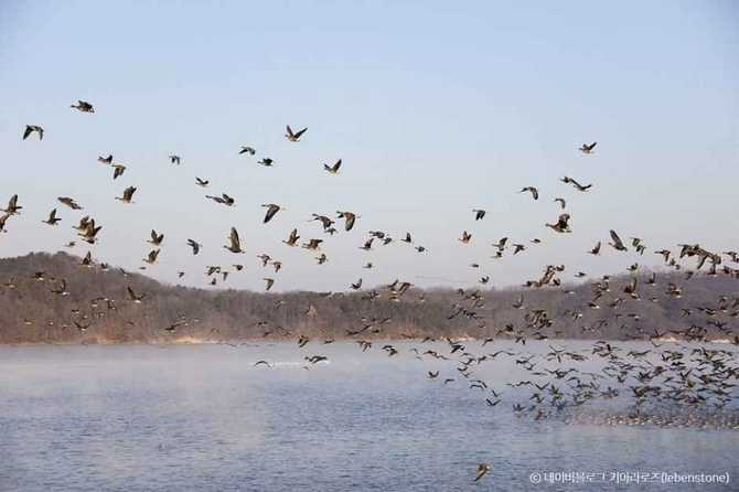 Discover Toge Reservoir - image 9