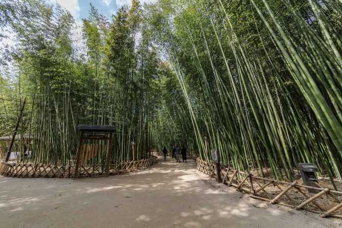 Explore Taehwagang National Garden - image 9