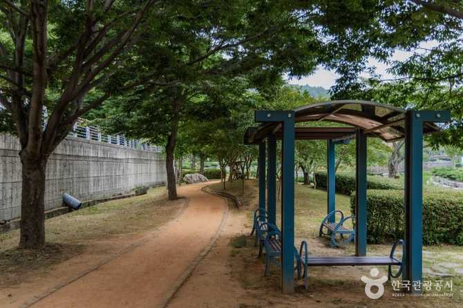 사천시 용두공원: 자연과 휴식을 동시에 누릴 수 있는 명소 7