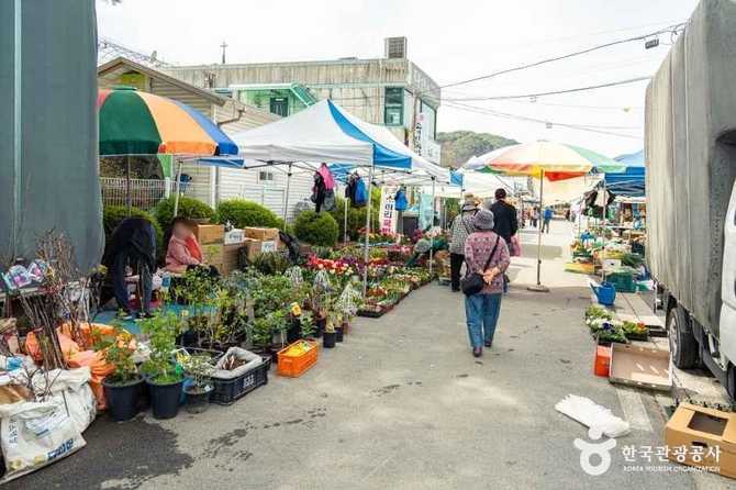 Visit Juchon Market in Yeongwol - image 7