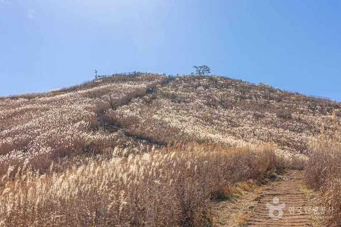 Discover the Beauty of Mt. - image 11