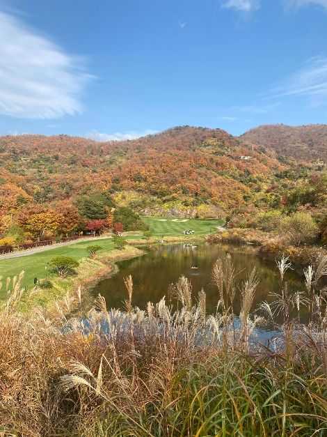 Pucheon Pureunsol Golf Club - image 8