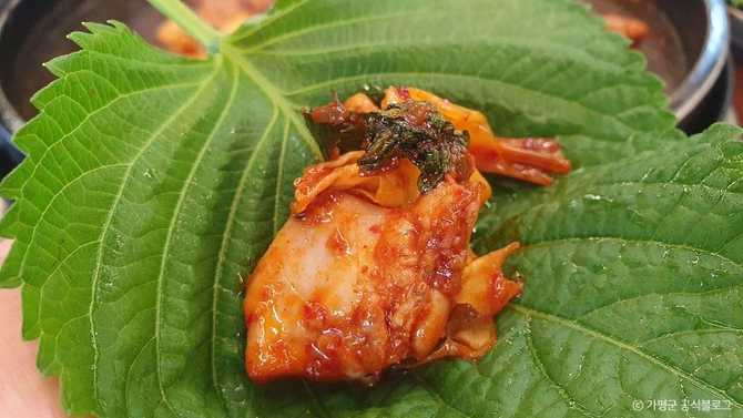 Best Chicken Galbi in Gyeonggi - image 6