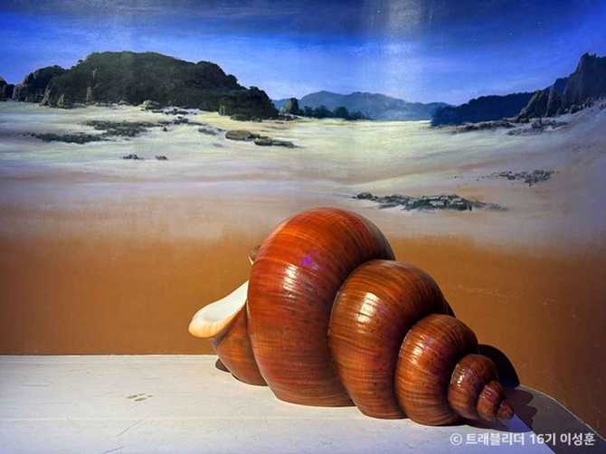 Discover the Marine Theme Experience - image 8