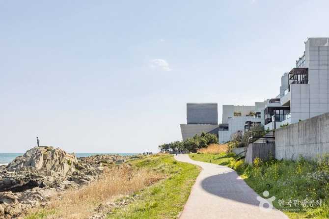 Explore Busan Osiria Coastal Walkway - image 14