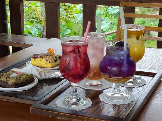 OroSii Flower Tea - image 8
