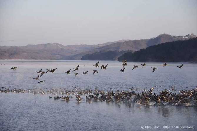 Discover Toge Reservoir - image 8