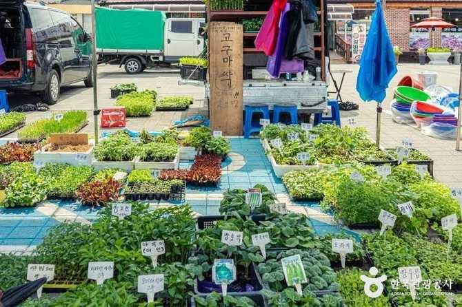 Visit Juchon Market in Yeongwol - image 10