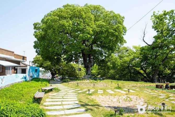 사천시 대방진굴항의 역사와 현재 모습 안내 12