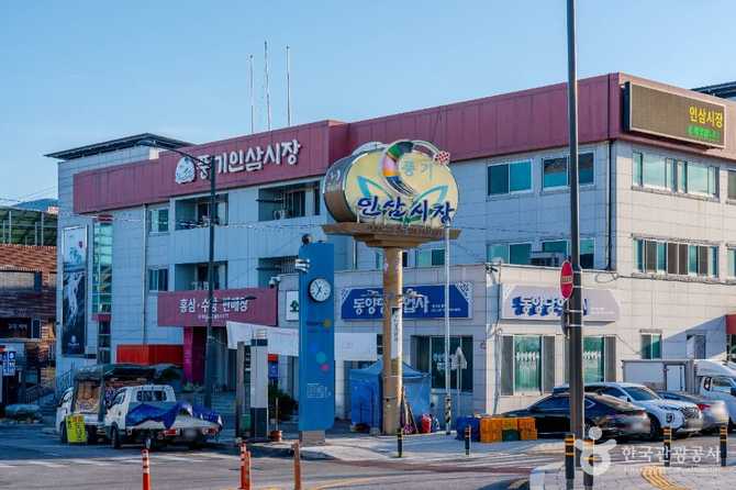 풍기인삼시장: 국내 대표 인삼 시장과 축제 정보 11
