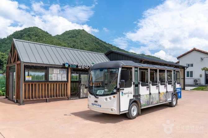 Discover the Beauty of Yeongyang - image 20