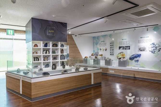 Explore the Geology and Fossils - image 10