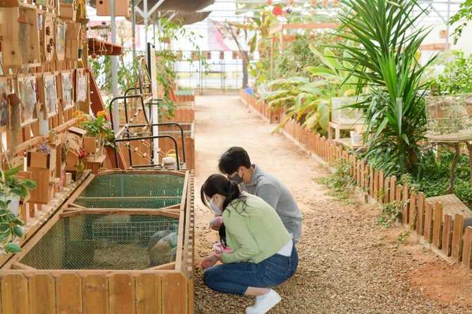 Experience Nature and Animal Encounters - image 10
