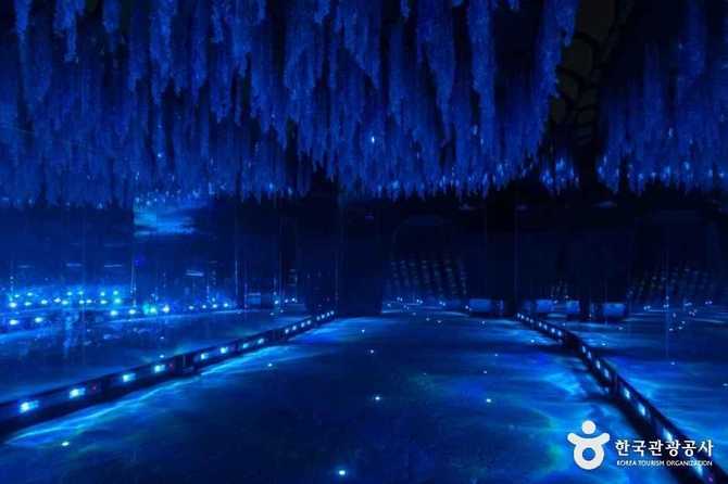 Discover Bucheon Natural Ecology Park - image 19