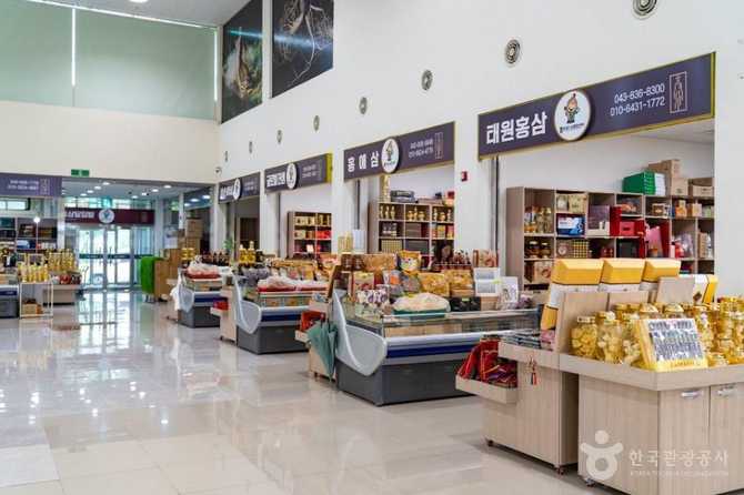 증평인삼문화센터: 인삼의 역사와 체험을 한 곳에서 즐기기 9