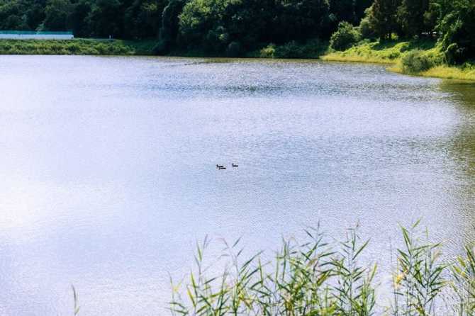 Discover Ganchi Reservoir - image 10