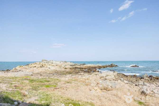 Explore Busan Osiria Coastal Walkway - image 19