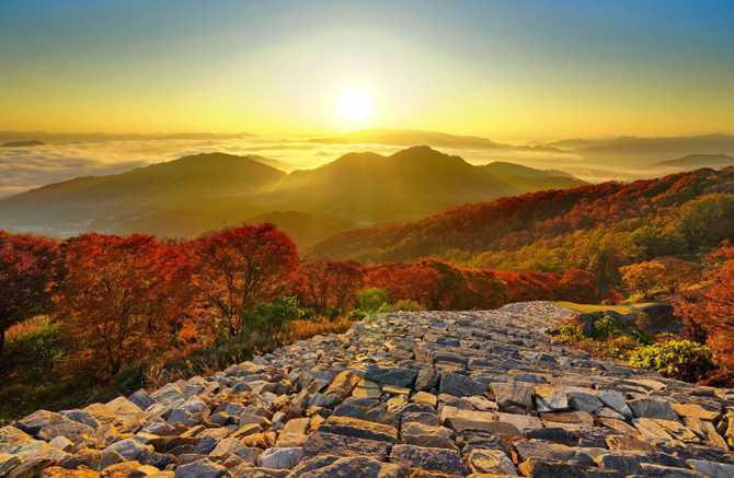 계족산 황톳길: 맨발 트래킹과 자연경관이 어우러진 명소 9