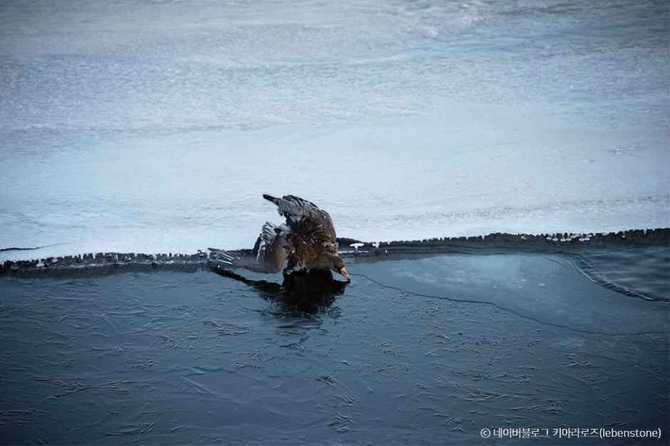 Discover Toge Reservoir - image 11